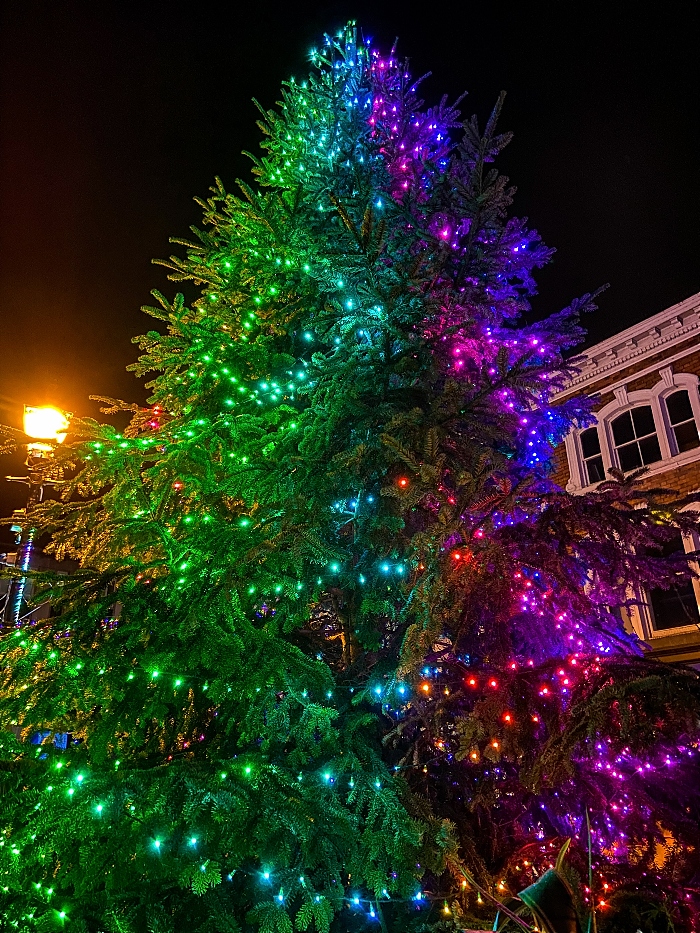 Applewood Independent Christmas Tree (1)