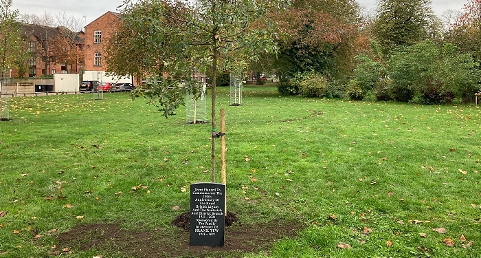 Trees and commemorative stone tablet at new Commemorative Garden