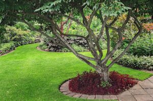 FEATURE: Home Design 101: An Introduction to Landscaping