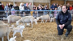 Reaseheath College to stage its annual “Lambing Weekends” in March