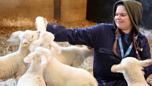 Families flock to Reaseheath College’s first Lambing Weekend