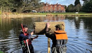 Reaseheath College students give ducks a safe place to nest