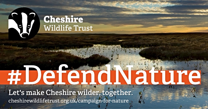 cheshire wildlife trust defend nature poster