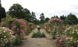 Gardens open up to help raise funds for St Luke’s Hospice