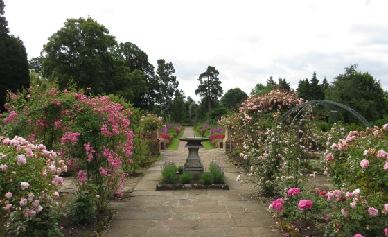 Cholmondeley Castle Open Gardens