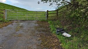 RSPCA appeal after four dead dogs dumped in South Cheshire lane