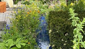 The RSPCA Chelsea Flower Show garden heading to Nantwich