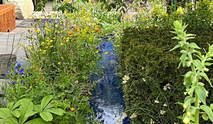 RSPCA garden at chelsea flower show heading to Stapeley