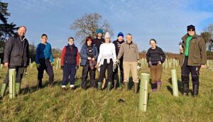 Cheshire Wildlife Trust plants more trees than ever before
