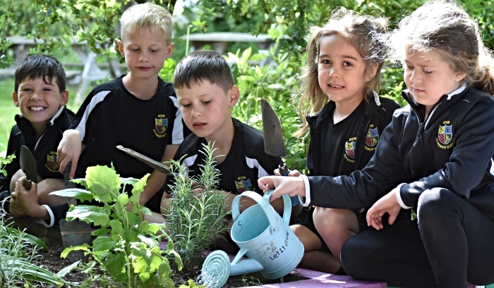Acton Gardening - eco friendly school
