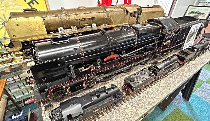 Locomotives in different gauges on display (1)