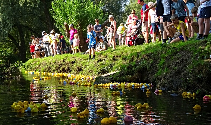 Start of Duck Race on Wistaston Brook (1)