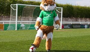 Nantwich Town seeks purrfect volunteer to be “Twichy” mascot!