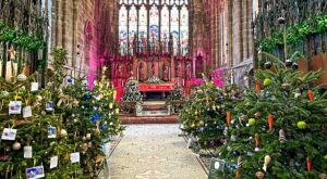 Nantwich Christmas Tree Festival raises money for hospice