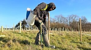 Cheshire Wildlife Trust gearing up for tree planting season