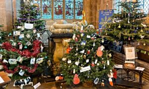 Visitors enjoy magical Christmas Tree Festival at Acton church