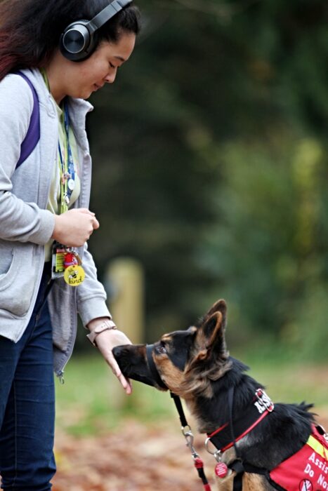 Melody Chen and assistance dog Mia 5 (1)