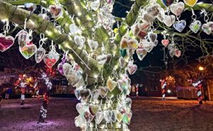 Nantwich “Tree of Light” in memory of 16-year-old Jonty