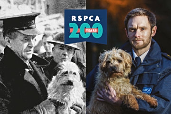 RSPCA animals 200 years