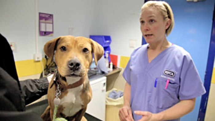 RSPCA marks 200 years rescuing animals