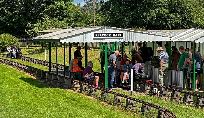 Visitors enjoy The Peacock Railway (1) (1)