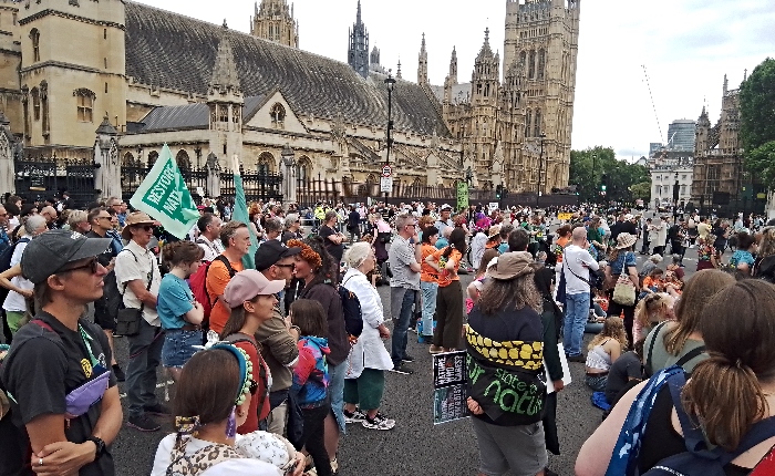 Environment campaigners in Westminster
