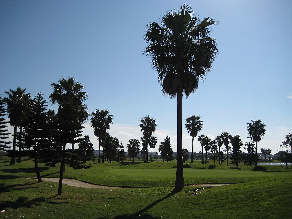 Campo de golf costa ballena - pic under licence by Divadal