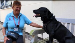 Leighton Hospital seeks more therapy dogs for patients