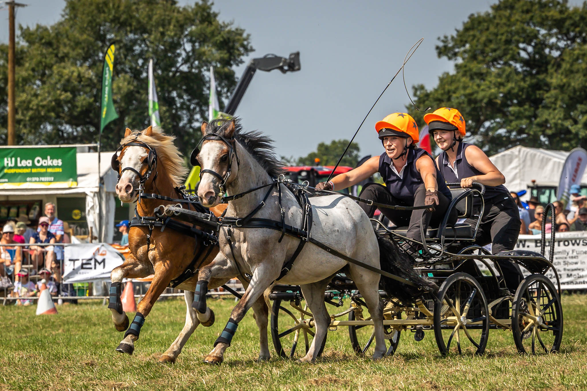 Nantwich Show 2024 - pic by Peter Robinson