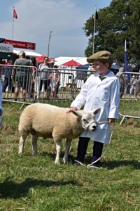 Nantwich Show online