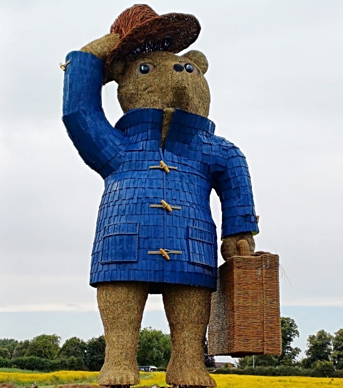 Snugburys unveil Paddington Bear