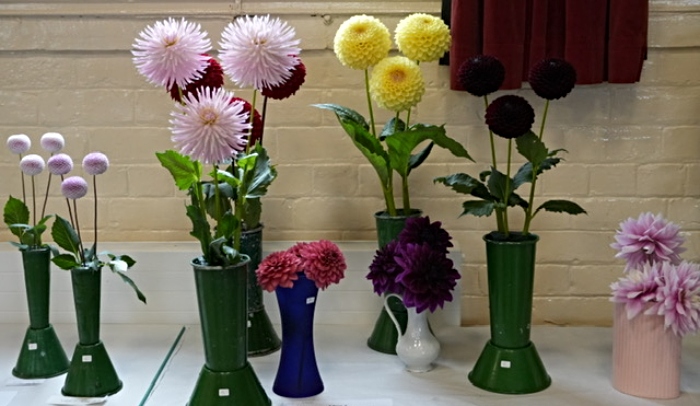 Bunbury Gardening Club September Show 3