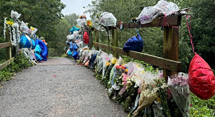 River Weaver weir footbridge - Sunday 8-9-24 (1)