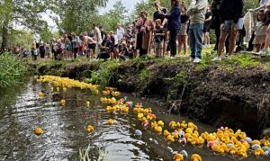 Hundreds enjoy Wistaston duck race and children’s model boat race