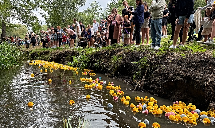 Start of Duck Race on Wistaston Brook