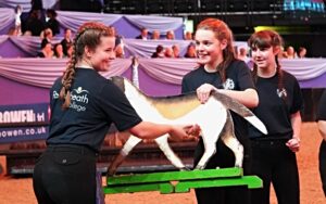 24.10.16_ Equine students make history at 75th HOYS_PR_GS. (4)