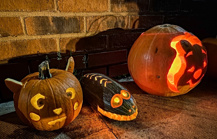 Children's pumpkin competition winner was the crocodile (centre) (1)