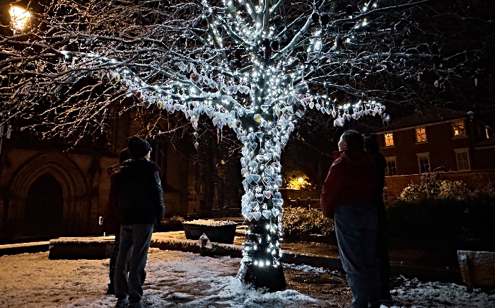 Visitors respectfully view the Nantwich Tree of Light in the snow (1)