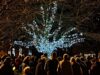 Nantwich Tree of Light illuminated at ceremony