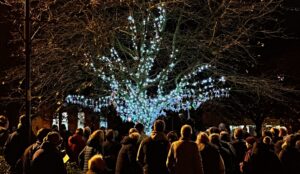 Nantwich Tree of Light illuminated at ceremony