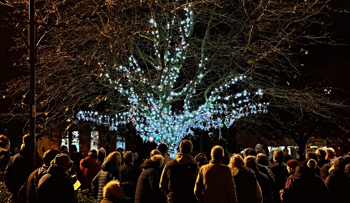 Visitors view the Tree of Light (2) (1)