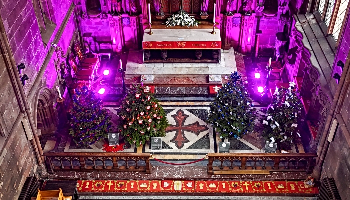 Aerial view of tree festival