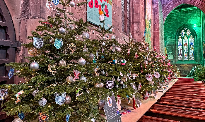 Christmas trees in the North Aisle (1)