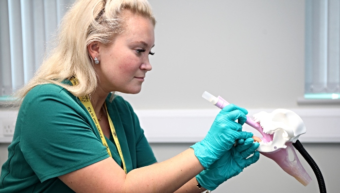 Vet nursing student practices administering an anaesthesia device at the new vet nursing centre (1)