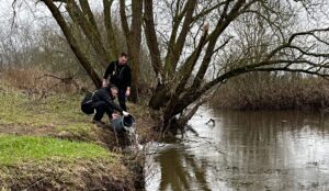 Thousands of fish released into River Weaver in Nantwich