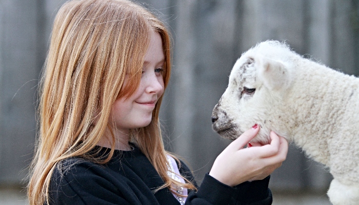 25.03.11 Lambing and Mini Zoo Weekend Press Pictures