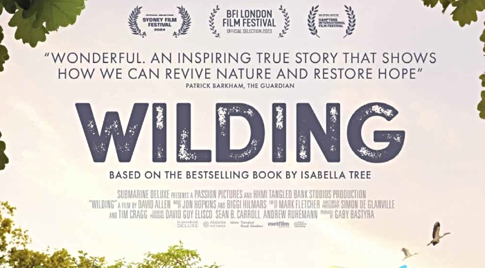 Wilding film poster