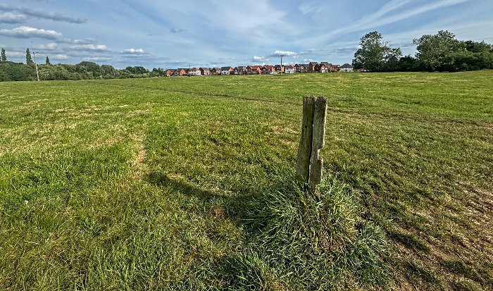 A field that would be built on for Crewe West (1) (1)