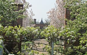 Combermere Abbey opens restored gardens to visitors