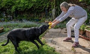 Mary Slinn with dog - she is new Mayor of Nantwich